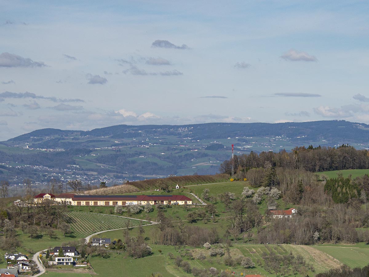 Eidenberger Alm